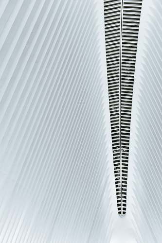 the oculus minimalist photography of building ceiling new york